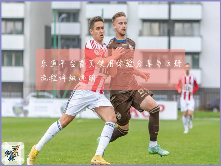 乐鱼平台首页使用体验分享与注册流程详细说明