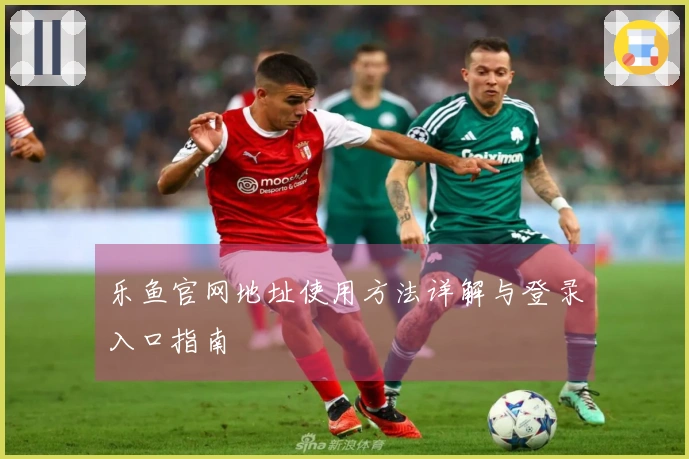 乐鱼官网地址使用方法详解与登录入口指南