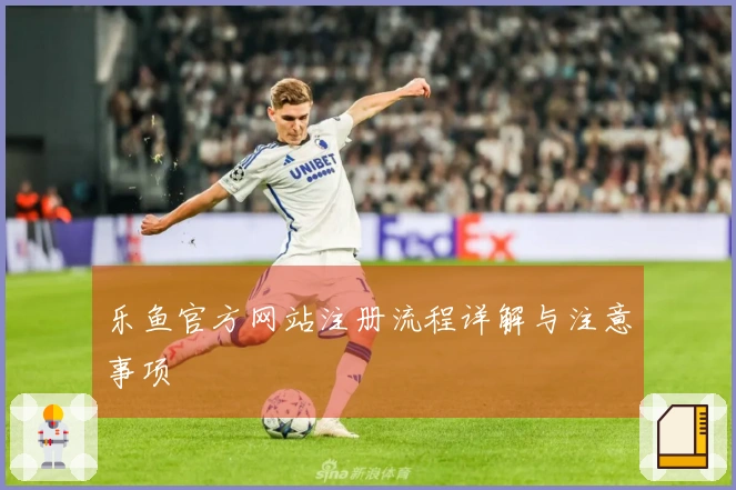 乐鱼官方网站注册流程详解与注意事项