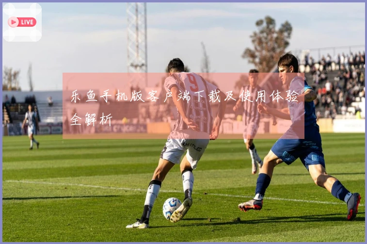 乐鱼手机版客户端下载及使用体验全解析