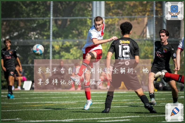 乐鱼平台首页使用体验全解析，畅享多样化功能与服务
